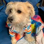 Becky Bors - @shiningturtle22 - Instagram
