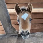 Becky Botsford - @becky__botsford - Instagram
