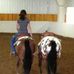 Botsford Equine Sales - Facebook