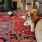 Becky Bowers - Facebook