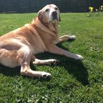 Becky Bowers - @becky.1976 - Instagram