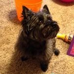 Becky Bowers - @bowers8746 - Instagram