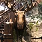 Becky Gerard Bowman - @becky.bowman.9484 - Instagram