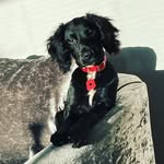 Becky Briggs - @beckybriggs25 - Instagram