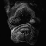 @brindle.becky.becky - Instagram