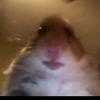 brycewhatthewhat - @becky.becky.bryce - TikTok