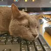 Beckylynn Buehler768 - @beckylynnbuehler7 - TikTok