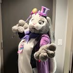 Becky Bunny - @becky_bunny240 - Instagram