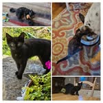 Becky Field - @becky.bunnell.710 - Instagram