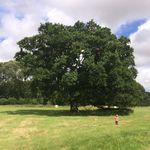 Becky Burchell - @beckyburchell22 - Instagram