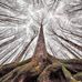 Becky Burgin Reed - Facebook