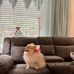 Becky Burt - Facebook