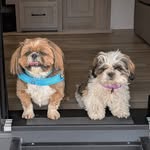 Becky Byrd Proctor - @bec2765 - Instagram