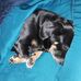 Becky Cagle - Facebook