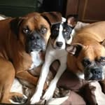 Becky Cale - @becky.cale.54 - Instagram