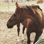 Becky Canada - @rccan99 - Instagram