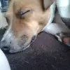 Beckycarr1 - @lily_becky1 - TikTok