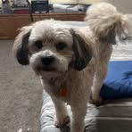 Becky Casey - Facebook