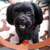 Becky Castaneda - @becky.castaneda - TikTok