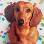Becky Zeller Cates - @bjc061151 - Instagram