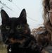 Rebecca Catlett Dzamko - Facebook