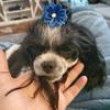 beckycato5 - @beckycato5 - TikTok