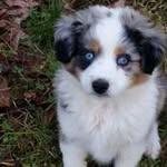 Becky Caudill - @becky.caudill - Instagram