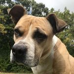 Becky Caudill - @ketotumbleweed - Instagram
