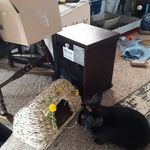 Becky Caudill - @becky.caudill.75 - Instagram