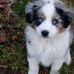 Becky Caudill - Facebook