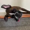 beckycavalier - @beckycavalier - TikTok