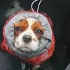 Nap queen - @becky.the.cavalier.king - TikTok