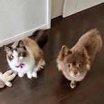 Becky・Cecile - @bc.122025 - Instagram