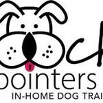 Becky Chadwell - @poochpointers - Instagram
