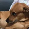 Fã da Becky Chambers - @amo.a.beckychambers - TikTok