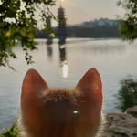 Becky Chan - @beckyyyyy_chen - Instagram