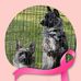 Rebecca Cheney - Facebook