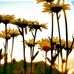 Becky Child - Facebook
