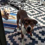 Becky Choate - @becky.choate.7 - Instagram