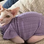 Becky Cooley - @pekingtwo - Instagram