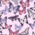 becky coster - @coster106 - Instagram
