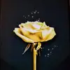 Becky Cote - @becky.cote0 - TikTok
