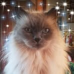 Becky Saunders Cotner - Facebook