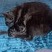 Becky Carol Cotterill - Facebook