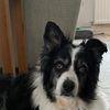 Becky Cotterell - @becky.cotterell5 - TikTok
