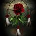 Becky McClellan Cotter - Facebook