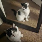 Becky Couch - @couchbecky - Instagram