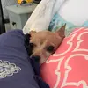 becky.counts - @becky.counts - TikTok