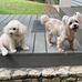 Becky Covington Miller - Facebook