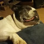 Becky Croft - Facebook